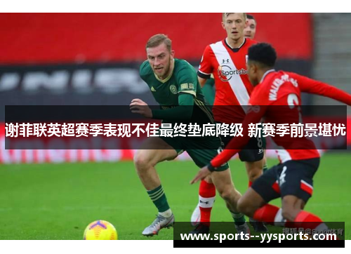 谢菲联英超赛季表现不佳最终垫底降级 新赛季前景堪忧