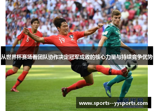从世界杯赛场看团队协作决定冠军成败的核心力量与持续竞争优势