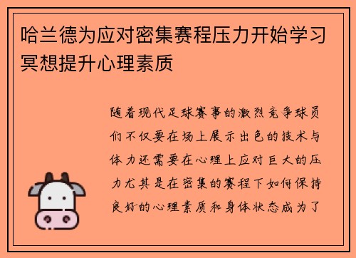 哈兰德为应对密集赛程压力开始学习冥想提升心理素质